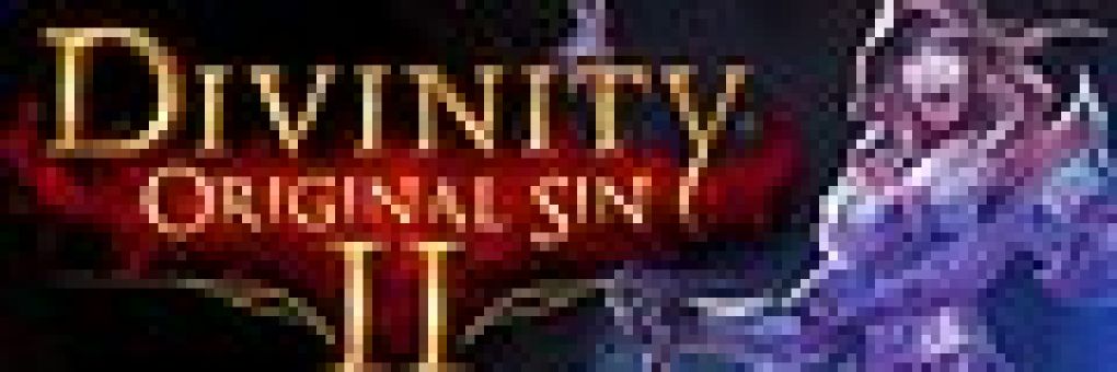 [Előzetes] Divinity: Original Sin 2