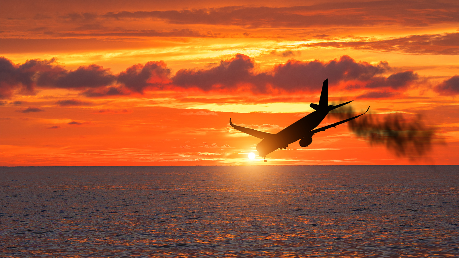Hogyan Ne Hogyan Ne Aj nld Fel Az El t lt s Int zm ny t Flight Hogyan Ne Hogyan Ne Aj nld Fel Az El t lt s Int zm ny t Flight