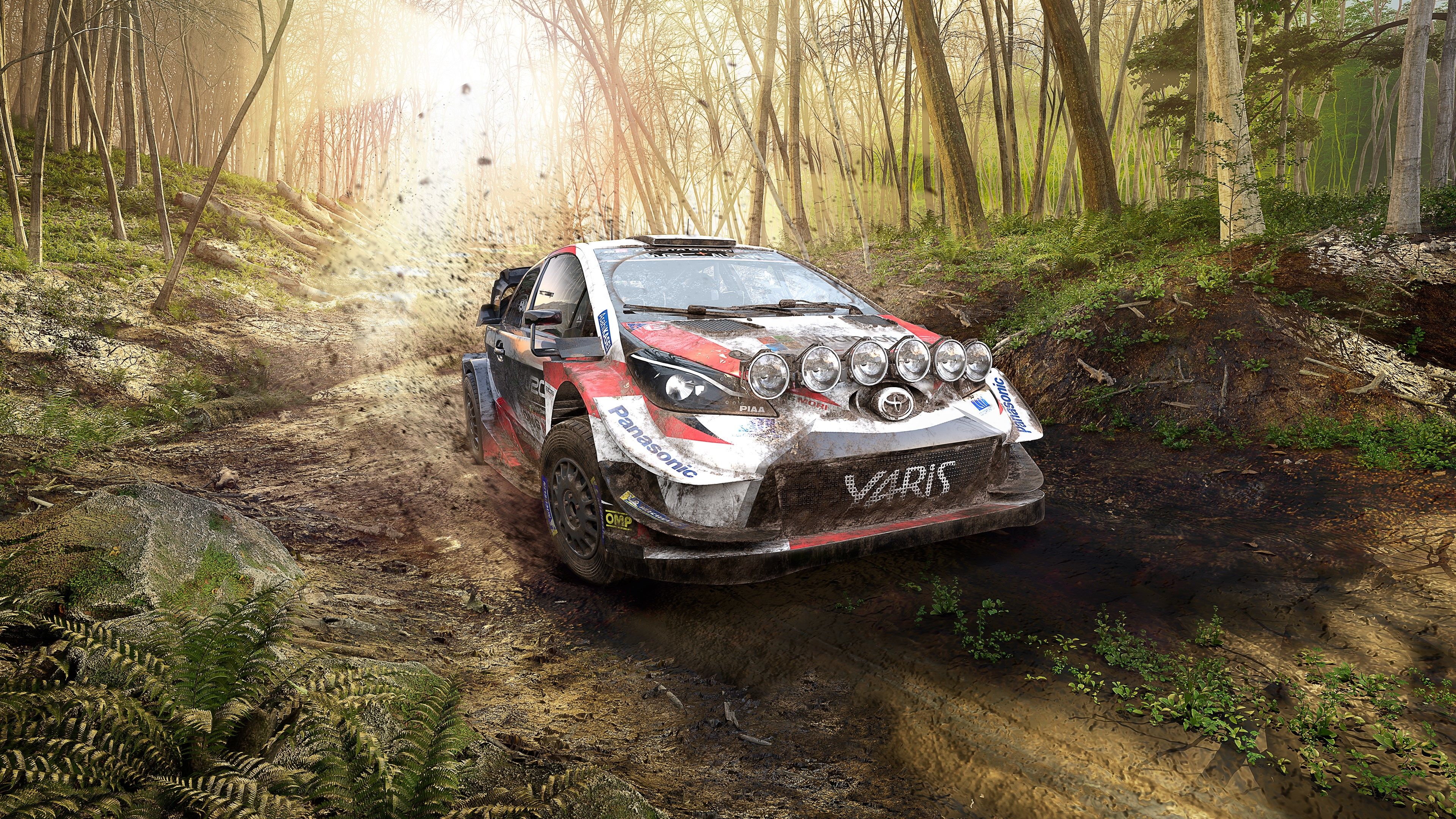 Ралли 9. WRC 9. WRC 9 FIA. WRC 9 Deluxe Edition FIA World Rally Championship. WRC 9 FIA World Rally.