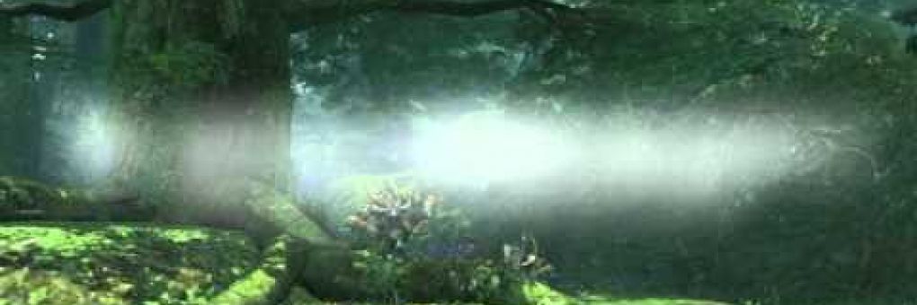 Phantasy Star Online 2 trailer