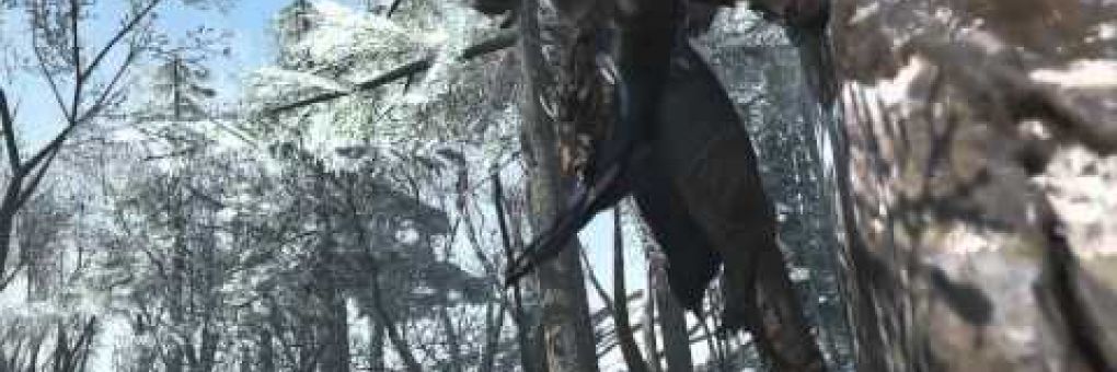 Assassin's Creed III: magyar felirattal