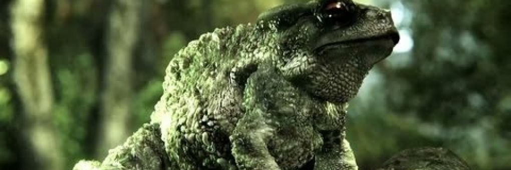 Ezt tudja a Crysis 3 motorja