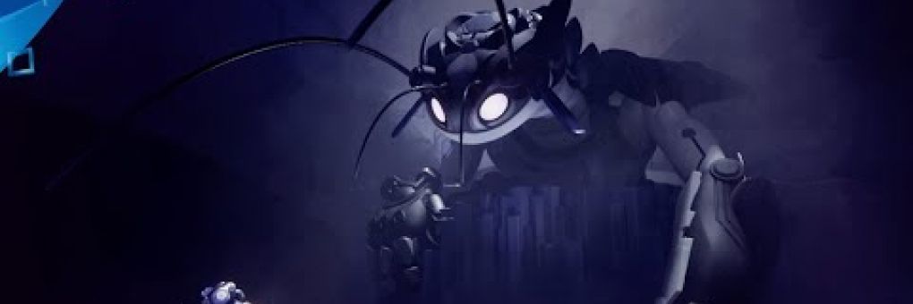 Dreams: téli álmodozás