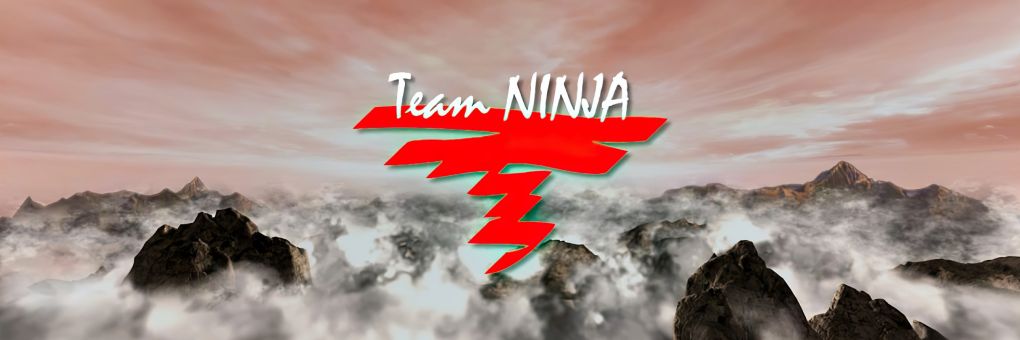 Team Ninja: tervek a jövőre