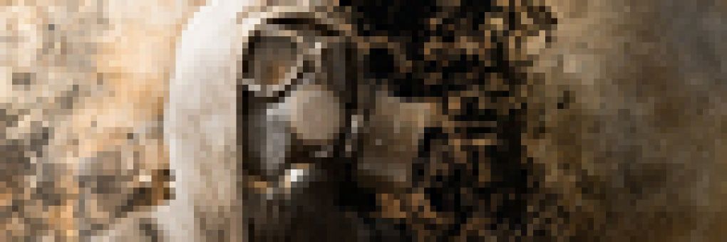 S.T.A.L.K.E.R: Shadow of Chernobyl teszt
