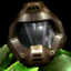 Doom