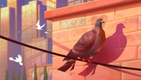 [Teszt] Pigeon: A Love Story