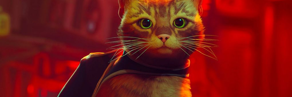 Stray: kiderült, mikor jönnek az Xbox-verziók