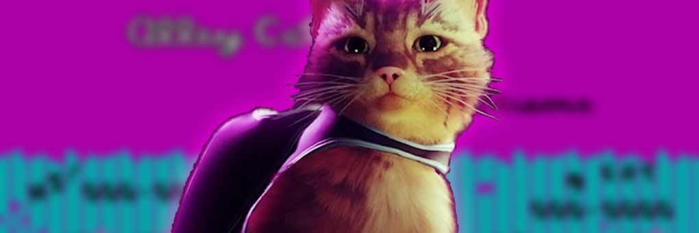 Ünnepeljük a definitív cicás játékkal a Nemzetközi Macskanapot