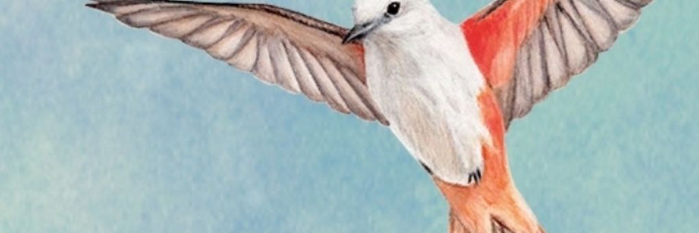 Wingspan: itt a Switch átirat
